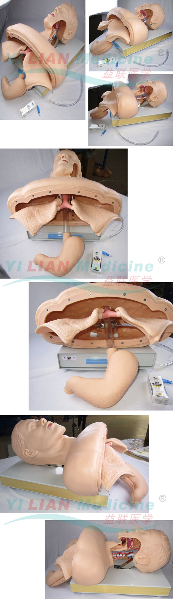 �߼�(j��)���w��ܲ��Ӗ(x��n)��ģ��