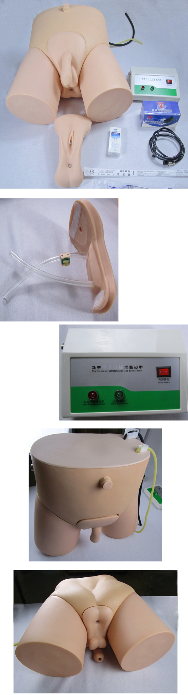 ��ӌ�(d��o)����c�̌W(xu��)��(sh��)��(x��)ģ��