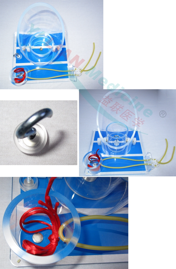 ��ƴ�Y(ji��)����Ӗ(x��n)��ģ��