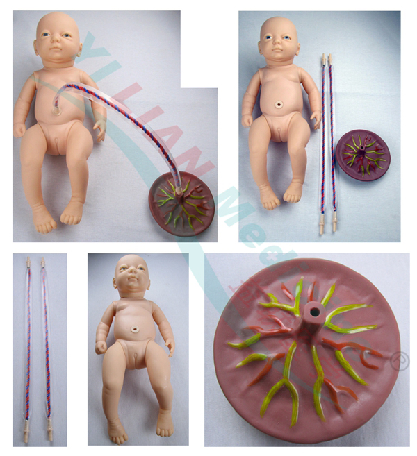 �߼�(j��)������Ě���o(h��)��ģ��