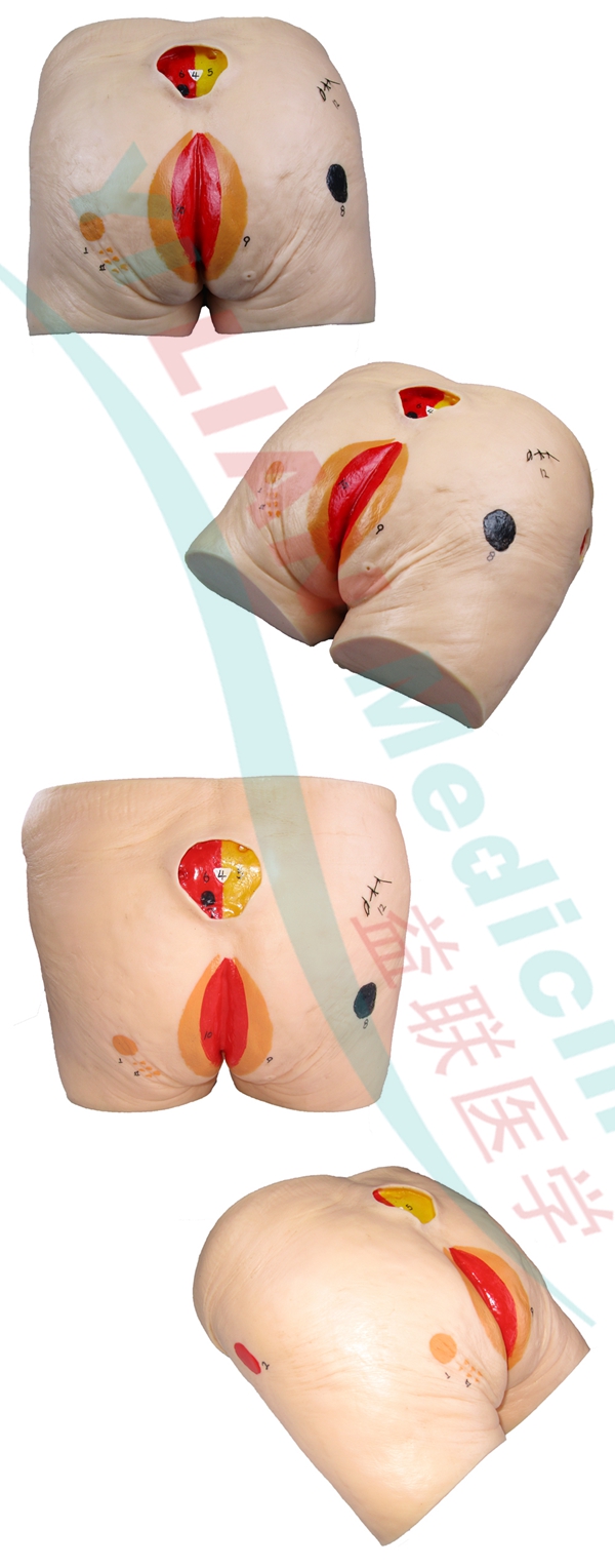 �߼��������쯏���������o(h��)��ģ��