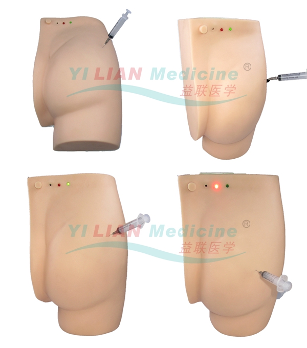 �߼�����β�ע��Ӗ��ģ��