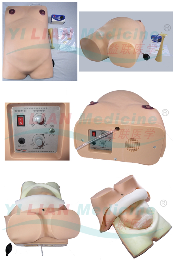 �߼���X�ЋD�z��ģ��