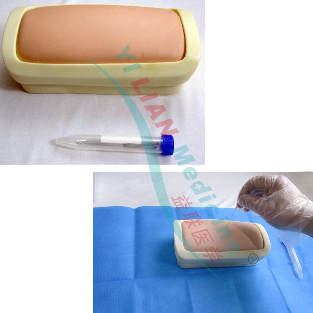 ᘴ�Ӗ(x��n)��ģ�K