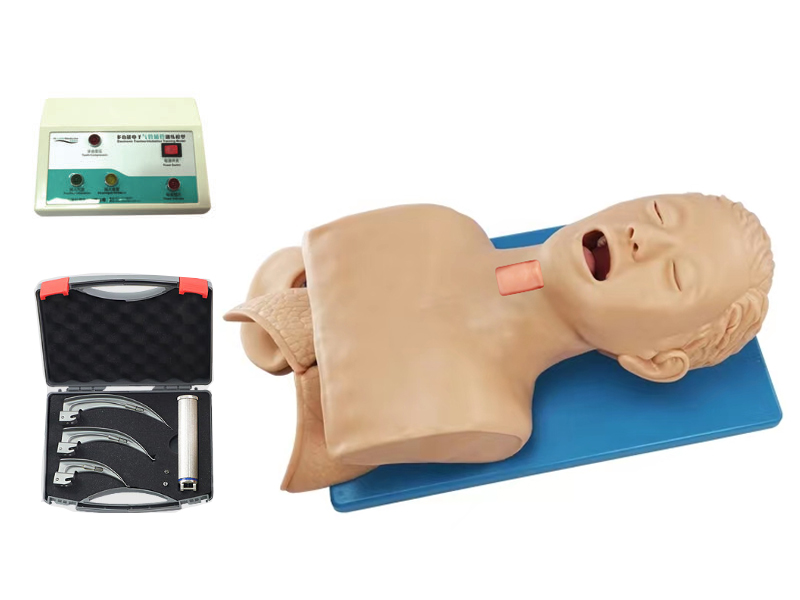 ��Ӛ���������h(hu��n)��Ĥ�������_ģ�M��