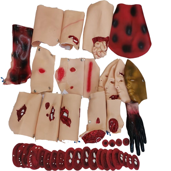 ��(zh��n)��(ch��ng)���Ȅ�(chu��ng)���o(h��)�����g(sh��)�C��Ӗ(x��n)��ģ�M��