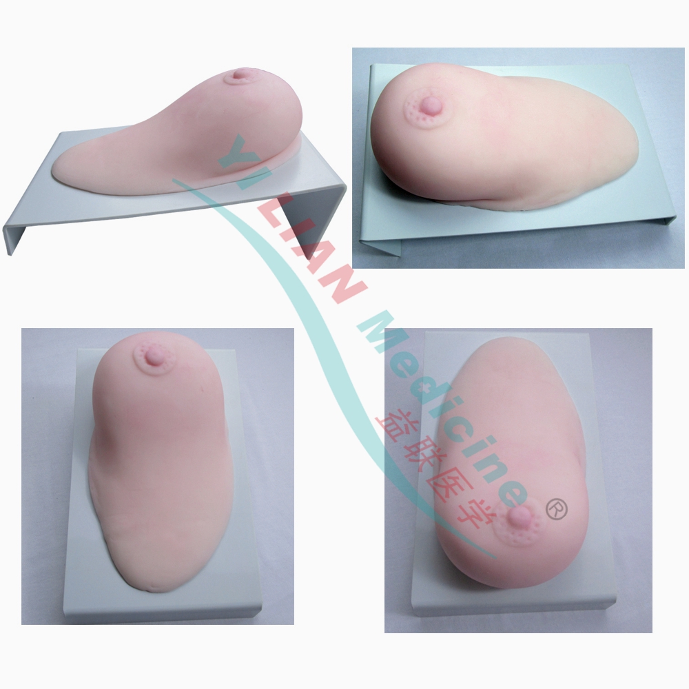 �������鷿ģ��