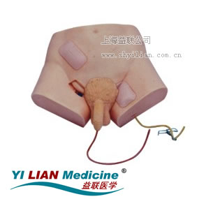 ���Ԍ�(d��o)��ģ��