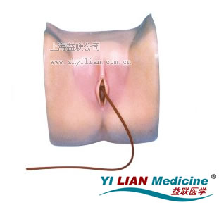 Ů�Ԍ�(d��o)��ģ��