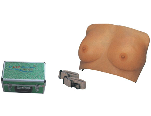 �߼�(j��)�鷿�z��ģ��