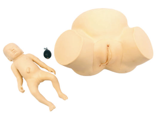 �y�a(ch��n)ʾ��Ӗ(x��n)��ģ��