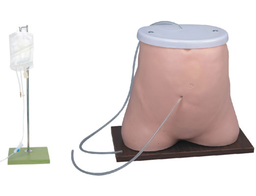 ��Ĥ͸��ģ��