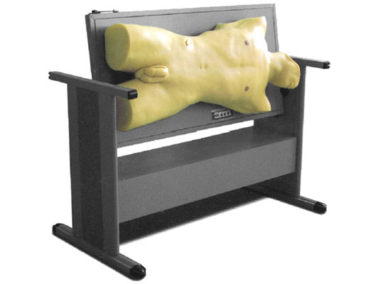 �����Ƅ�(d��ng)�ԝ���ߵ�\�c��ǻ����Ӗ(x��n)��ģ��