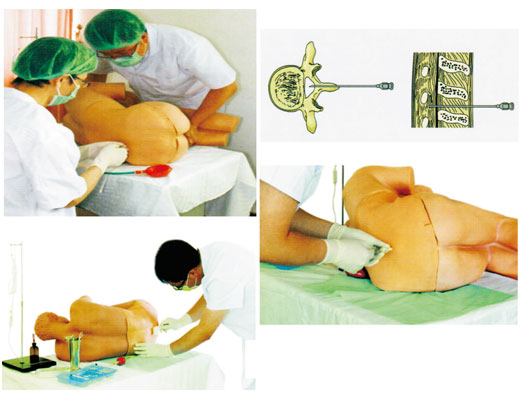 ��׵���̷����(bi��o)��(zh��n)������