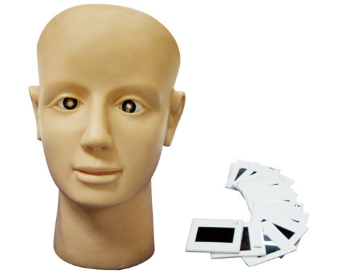 ��ҕ�W(w��ng)Ĥ��׃Ӗ(x��n)��ģ��