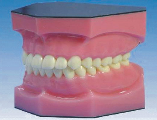 �ɱ�ȫ��ģ��