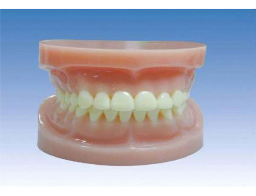 ��(bi��o)��(zh��n)ȫ��ģ��