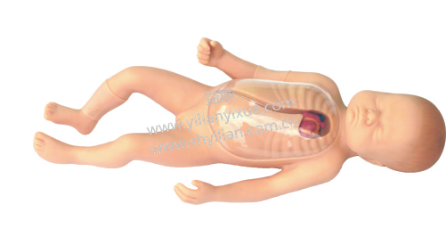 ���������������o�}���ģ��