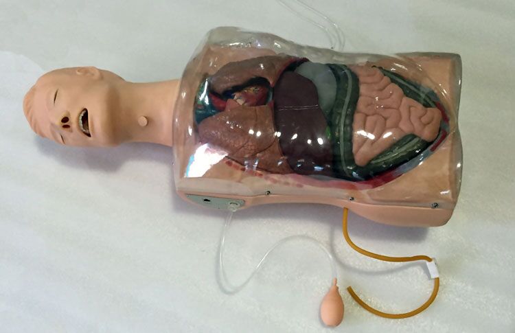 ��ǻ���ҹ�Ӗ(x��n)��ģ��