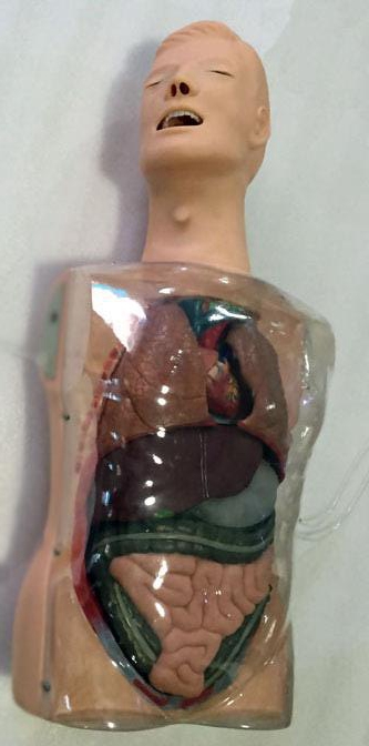 �๦��͸��ϴθӖ(x��n)��ģ��