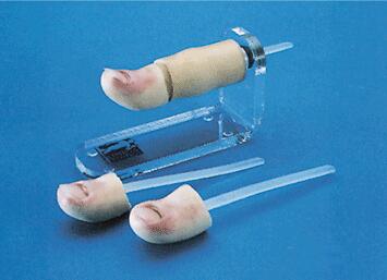 �μ��g(sh��)Ӗ(x��n)������ģ��