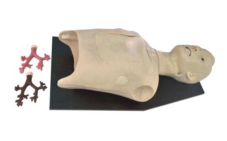 ֧��܃�(n��i)�Q�RӖ(x��n)��ģ��