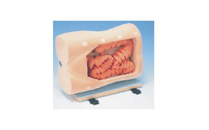 �Y(ji��)�c�R�z��Ӗ(x��n)��ģ��