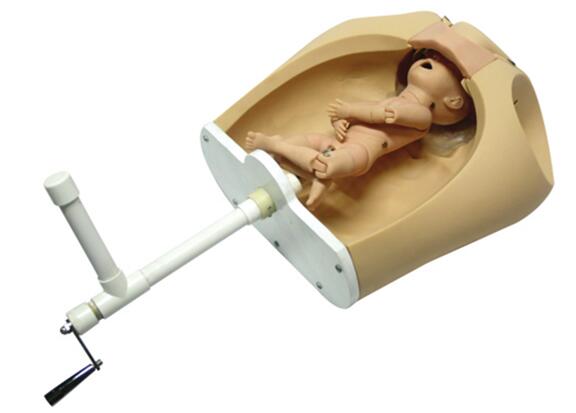 �֓u����C��ʾ��ģ��