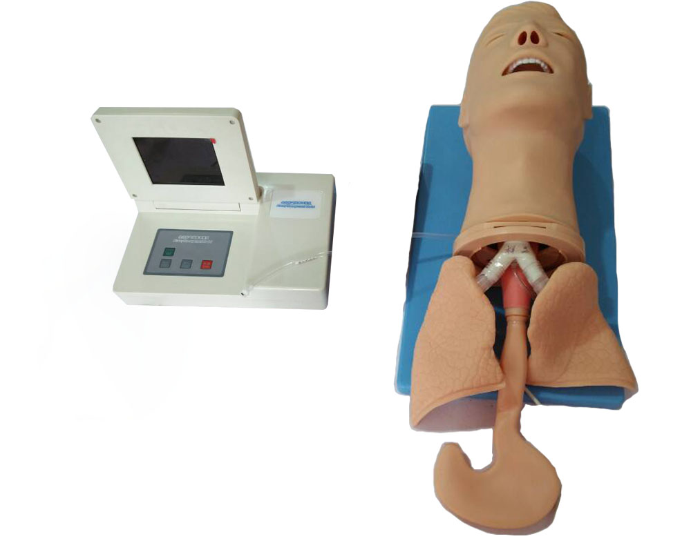 ȫ���ܚ������ģ��