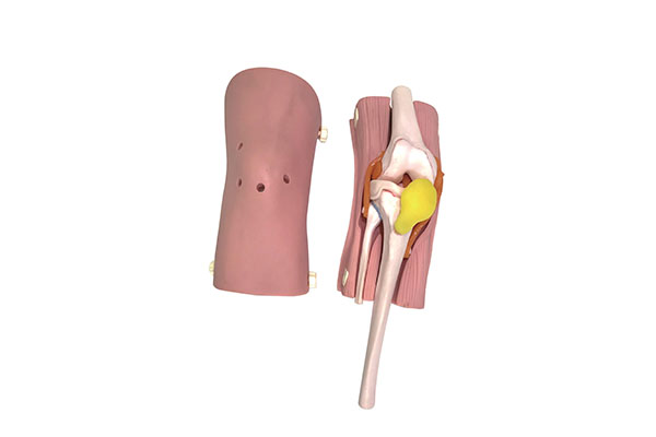 ϥ�P(gu��n)��(ji��)�R�z��ģ�͡��������T���܂� ���g(sh��)�аl(f��)�F(xi��n)�ىK���^