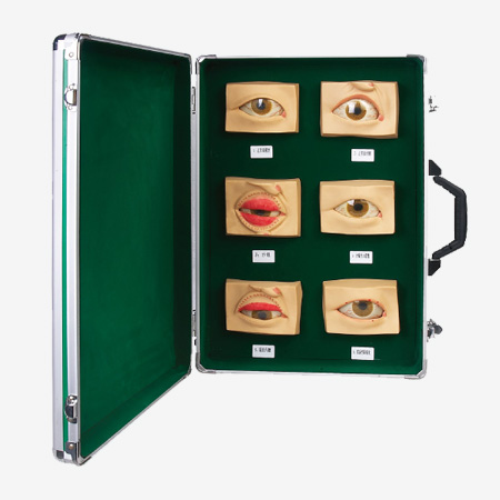 ��Ҋ�۲�ģ��