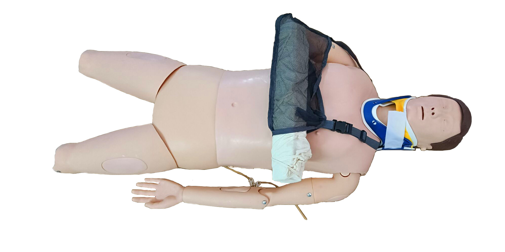 ��֫���ۼ�����̶�Ӗ(x��n)�������(bi��o)��(zh��n)������