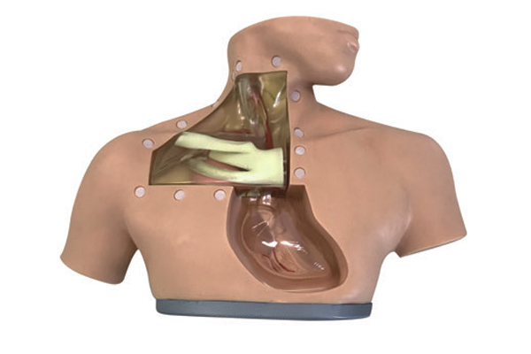 �߼�(j��)�c��I�B(y��ng)�o(h��)��ģ��