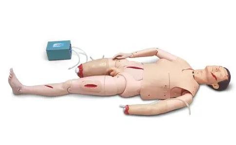 �_���Ԃ���ֹѪ����ģ��