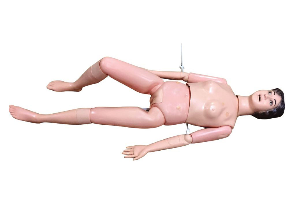 �P(gu��n)��(ji��)��Ƥ��̶����Ͷ๦���o(h��)���ˌ�(sh��)��(x��)ģ�ͣ�Ů�ԣ�