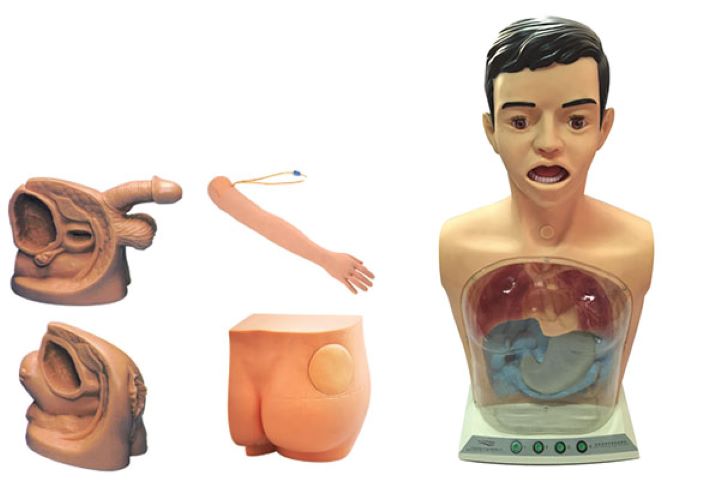 ���ͻ��A(ch��)�o(h��)�팍(sh��)��(x��)����ģ�ͣ��岿����