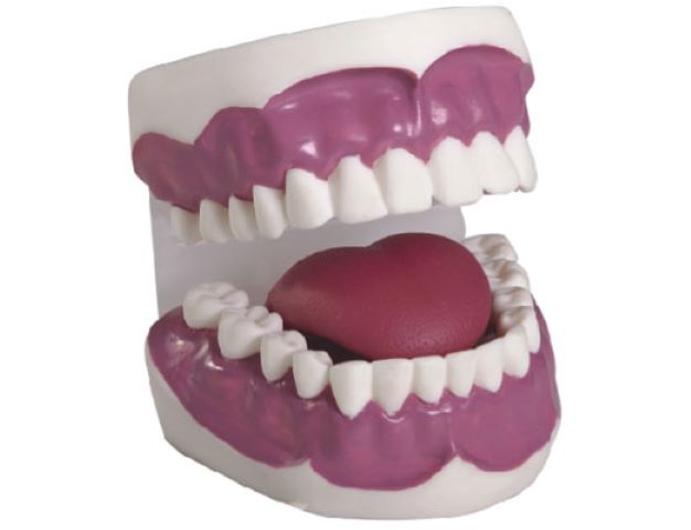 ���o������ģ�ͣ��Ŵ������