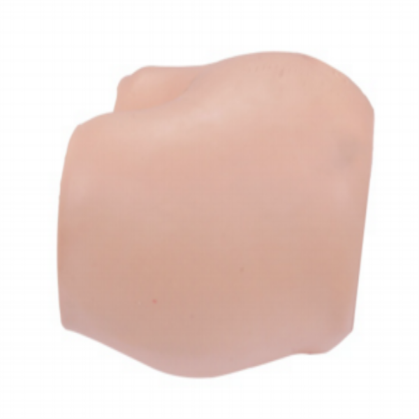 ��Ĥǻ����ģ��