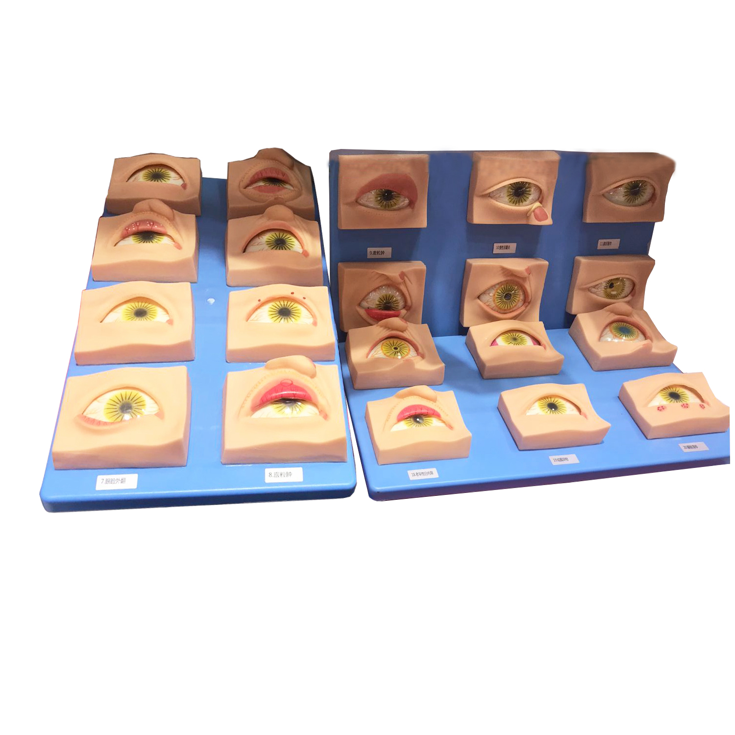 ��Ҋ�۲�ģ��