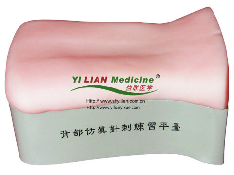 ��������ᘴ̾���(x��)ƽ�_(t��i)