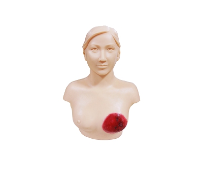 �߼���b�\��Ӗ(x��n)��ģ��